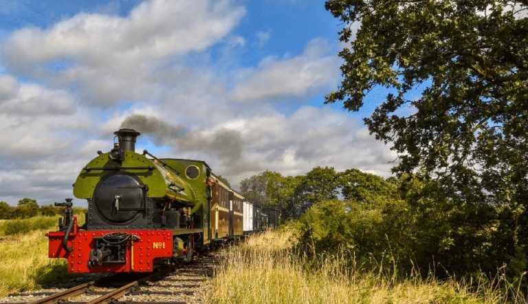 face-of-green-train-in-sun