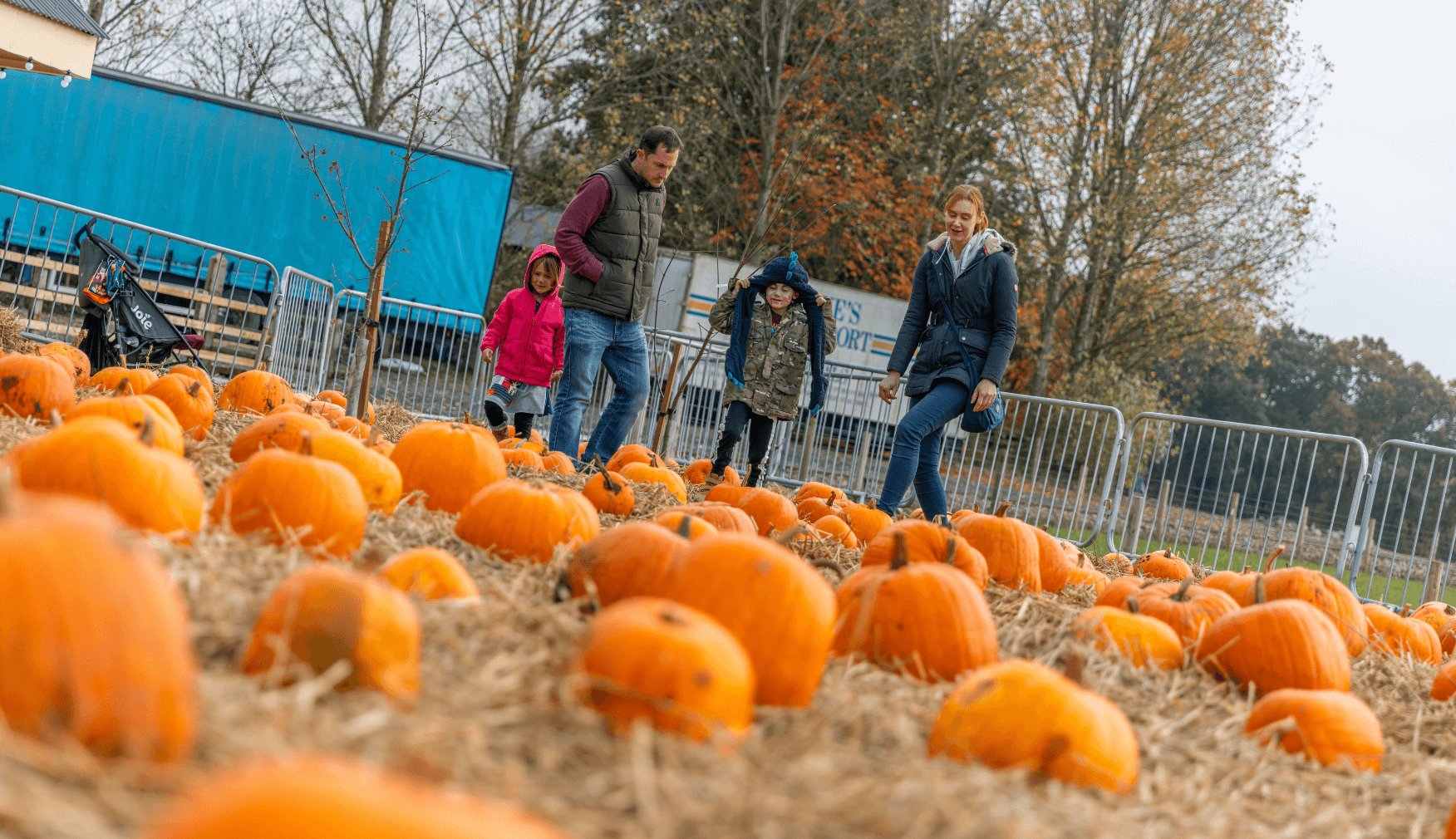 Family in the Pumpkin Patch