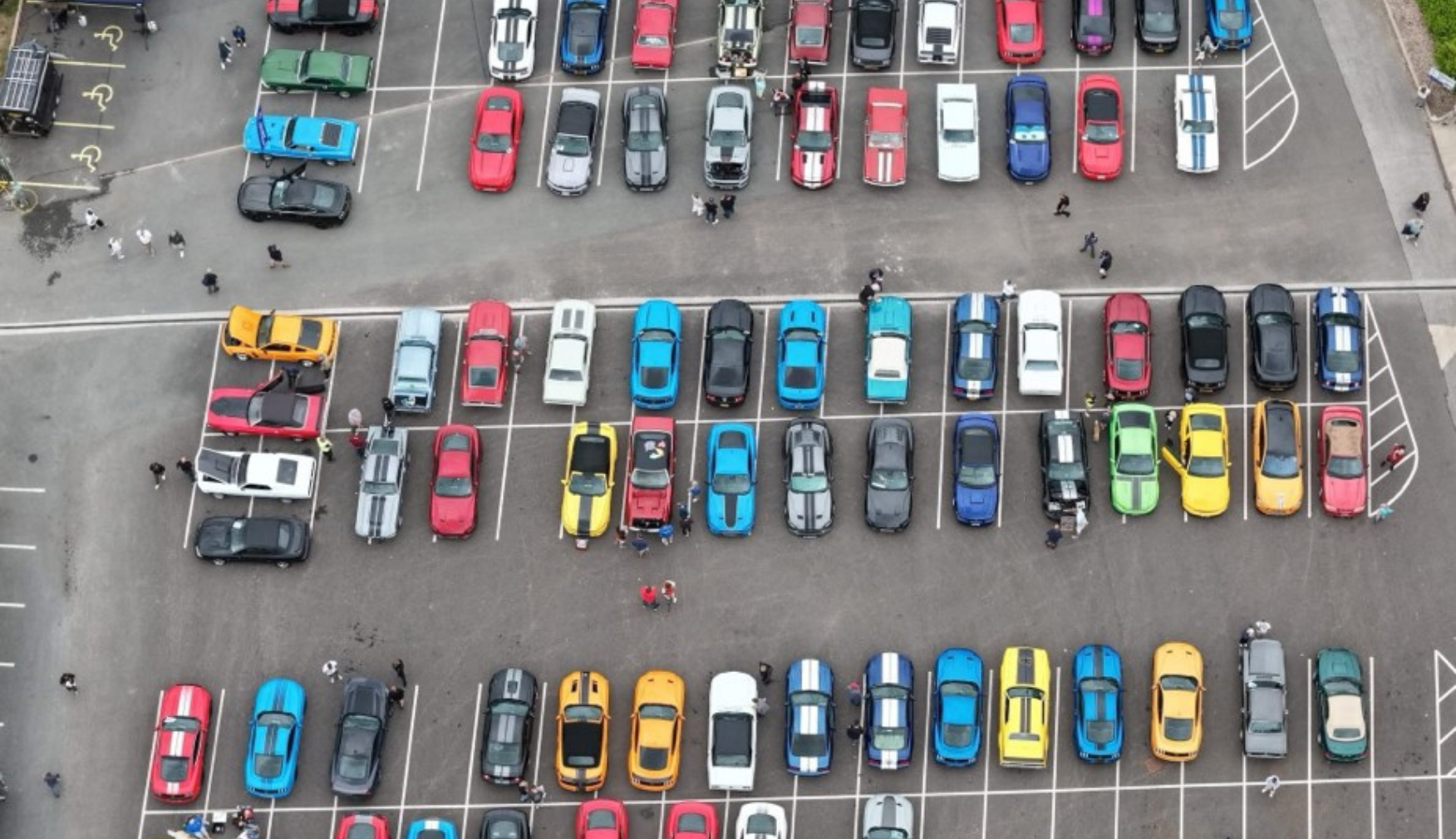 Above Photo of Mustangs at Statfold