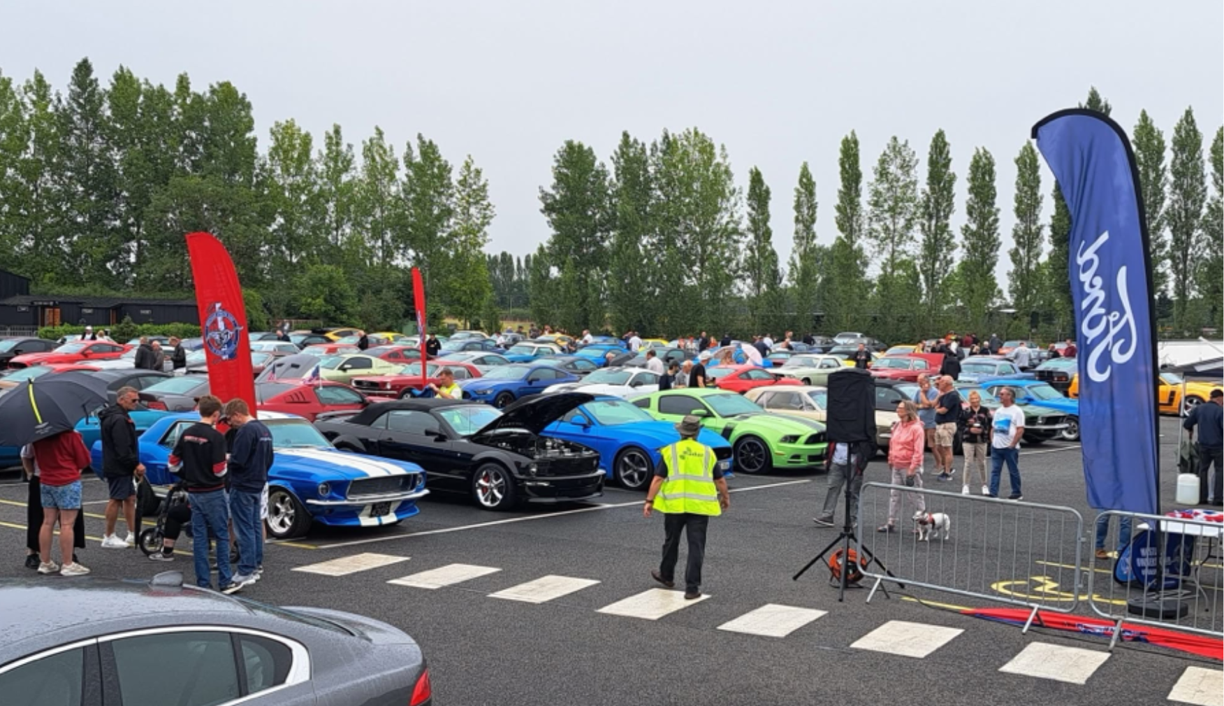 Ford Mustang Show at Statfold Country Park