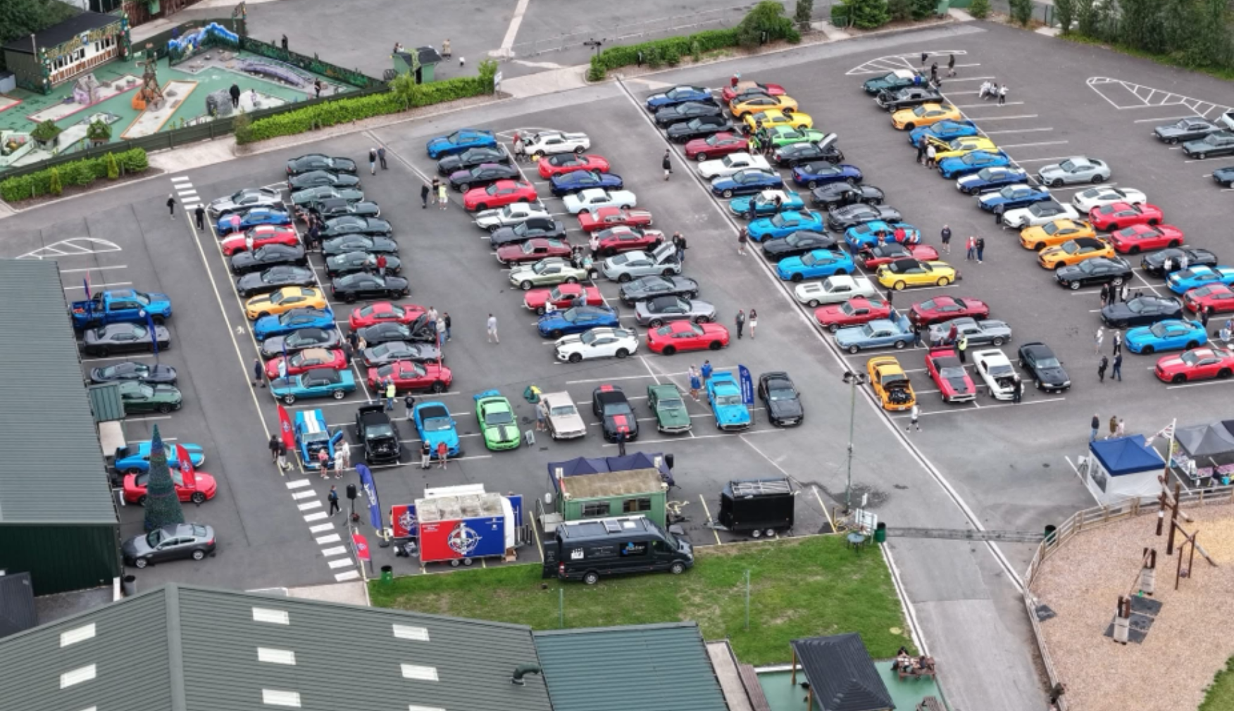 Hundreds of Mustangs at Statfold Country Park