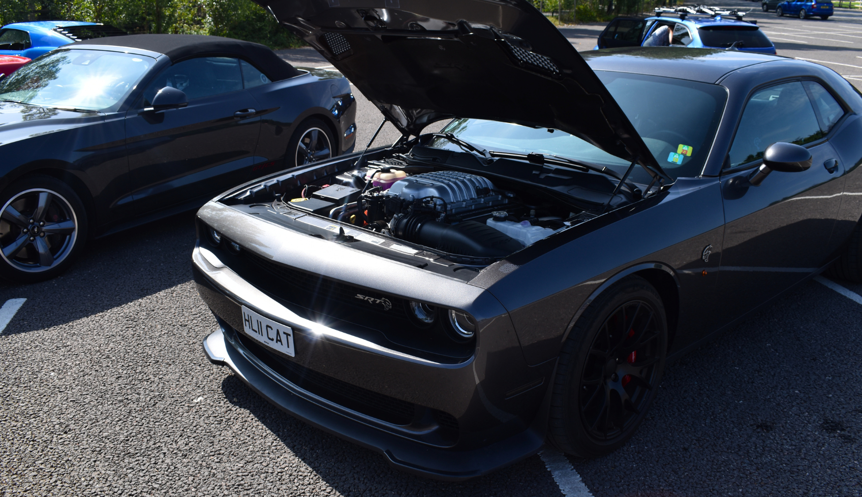 Mustang Engine at Statfold