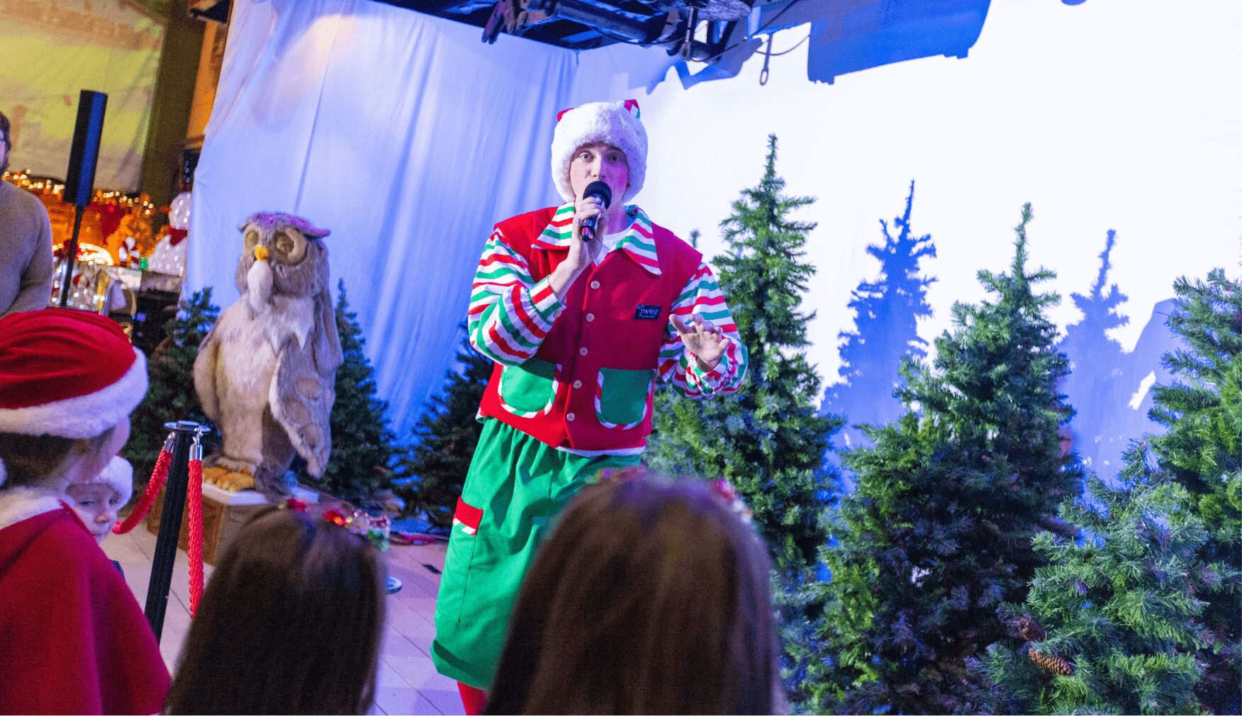 Elf Academy Show at Statfold Country Park