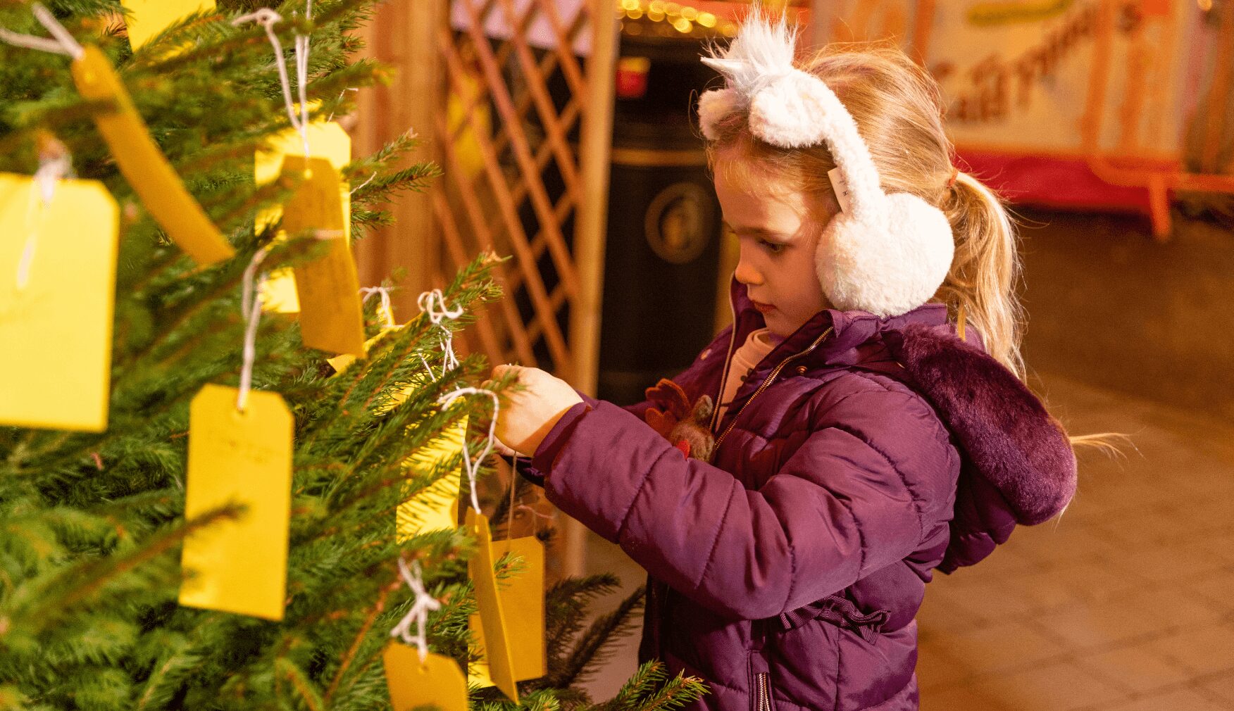 Wishing Tree activity at Statfold Country Park